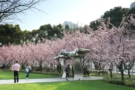 收藏这份花花拍摄技巧，你也能出大片！图片