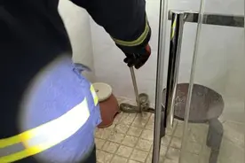 杭州男子河边洗个手，突然一阵剧痛：不好了！重要提醒：现在开始要当心图片