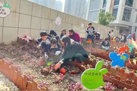 这个学校的校园种上了中草药图片