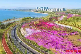 淄博公交推出周村区4个旅游景点线路攻略图片