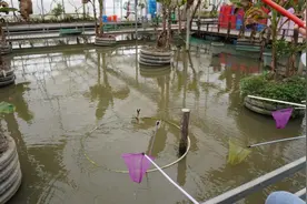 除了零售还能垂钓！小龙虾错峰上市啦图片