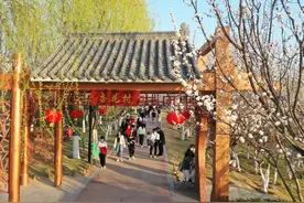 夏邑县：杏花村鸟语花香醉游人图片