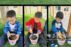 向阳生长迎风绽放 洪山区实验幼儿园开展园花种植活动图片