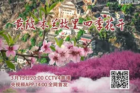 从农旅融合到文旅融合，央视《记住乡愁》聚焦黄陂木兰故里图片