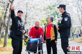 16000株樱花竞相绽放 上海著名赏樱地迎来大客流图片