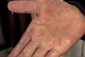 真正的“铁砂掌”！93岁炒茶爷爷手上长满老茧图片