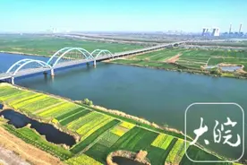 淮南：淮河岸边油菜花盛开 花田美如调色板图片