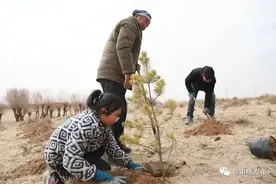 吉日嘎拉四十多年接续治沙 万亩沙地变绿洲图片