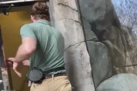 在美华人探望“丫丫”：饲养员“落荒而逃”不愿回答视频封面