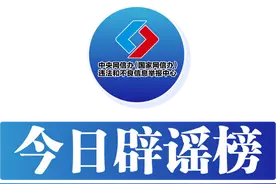 湖南武冈挖出“龙身化石”？图片