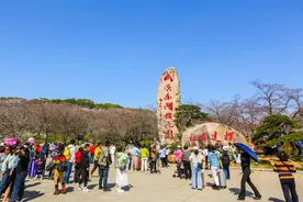 游荆楚、享尊崇、葆本色，2023退役军人开启“春游湖北”图片