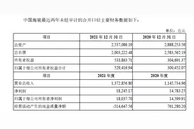 中船科技：造船厂如何“华丽转身”成为风电龙头？丨见智研究图片