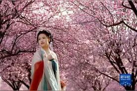 西安：春光无限好 满眼繁花灿图片