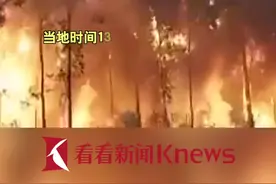 阿根廷东北部地区山火过火面积已达约3000公顷图片