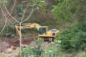 神兵天降！野生亚洲象坠坑，象与人接力救援图片