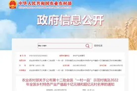 7个超十亿元镇、12个超亿元村，广西这些最富村镇在哪里？图片