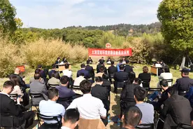 买来的树就可以随意砍伐？这二人砍树396棵被判异地补植复绿图片