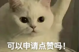 收藏！关于办理身份证，看这一篇就够了！图片