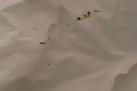 甘孜一酒店床单被罩现棕色污渍，顾客获赔2晚房费，酒店：床单不可能没换，清洁人员没注意污渍图片