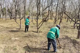 河长制助力青州市弥河国家湿地公园建设秀美河湖图片