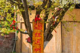 春日如许，来播州赏花、露营、睡进山野，享受无限春光图片
