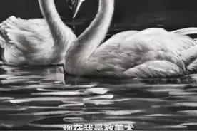 午FUN丨栩栩如生！粉笔画的天鹅能有多逼真图片