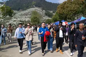 重庆渝北迎来最佳赏花季 中外游客纷至沓来图片