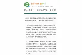 不卖碳汇纯公益 蚂蚁森林下的什么棋？图片