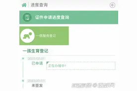 问政回声丨市民反映陕西生育登记线上申请难办理 官方：一周内已完成审核图片