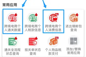 “掌上海关”App保“进”不保“真” 网购商品拆封无损坏可退换图片