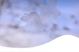 分享丨辰山植物园第一枝东京樱花绽放！花期预测在此图片