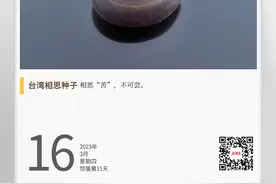 湖湘自然历丨它要发芽⑮相思不仅寄红豆图片