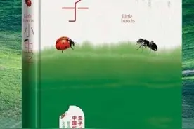 庞余亮：《小虫子》是一个苦孩子的昆虫记图片
