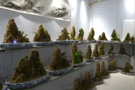 民间高手｜范江波：一块石头几棵小草，变身雄山秀水图片