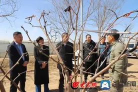 山东省农业技术推广中心研究员、作物二部副部长高文胜到沾化区下河乡调研图片