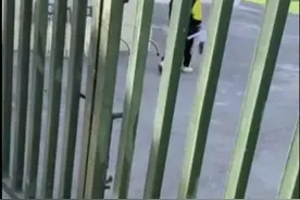 大连一小学老师让学生跑腿拿外卖？教育局：正调查了解图片