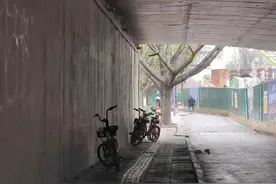 不文明行为曝光台|就差几米远，共享单车为啥不能规范停放？别让文明止于“一步之遥”图片