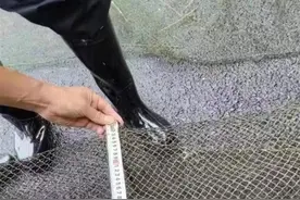 村民在长江禁渔期内仍使用“地笼网”捕鱼，法院：判处拘役并进行生态修复图片