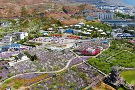 四川汉源三强村：从靠梨为生到因梨而兴图片