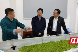 刘冬生调研湘西州茶产业发展图片