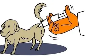 最新！各区狂犬病免疫点一览→图片