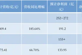 大赚200亿今年硅料产量增逾四成  大全能源业绩将向何处去？图片