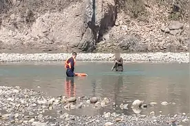 老人砍柴途中突遇涨水被困，民警上演“孤岛救援”图片