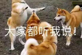 女子指甲发霉变绿不就医，还想着要做美甲图片