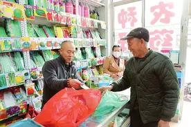 挑选种子 了解种植知识图片