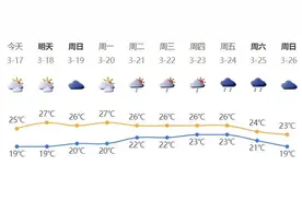 深新早点｜失去粤B牌！这类车拟取消更新指标图片