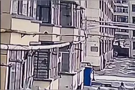 爱犬送到宠物店洗澡却走失，后从高楼坠下死亡，主人：母亲心疼得整夜失眠图片