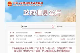 全国“十亿元镇”“亿元村”名单公布，黑龙江这些村镇上榜图片