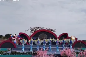 30秒｜四川西充县第十一届桃花季开幕图片