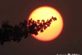 诗词丨落日图片